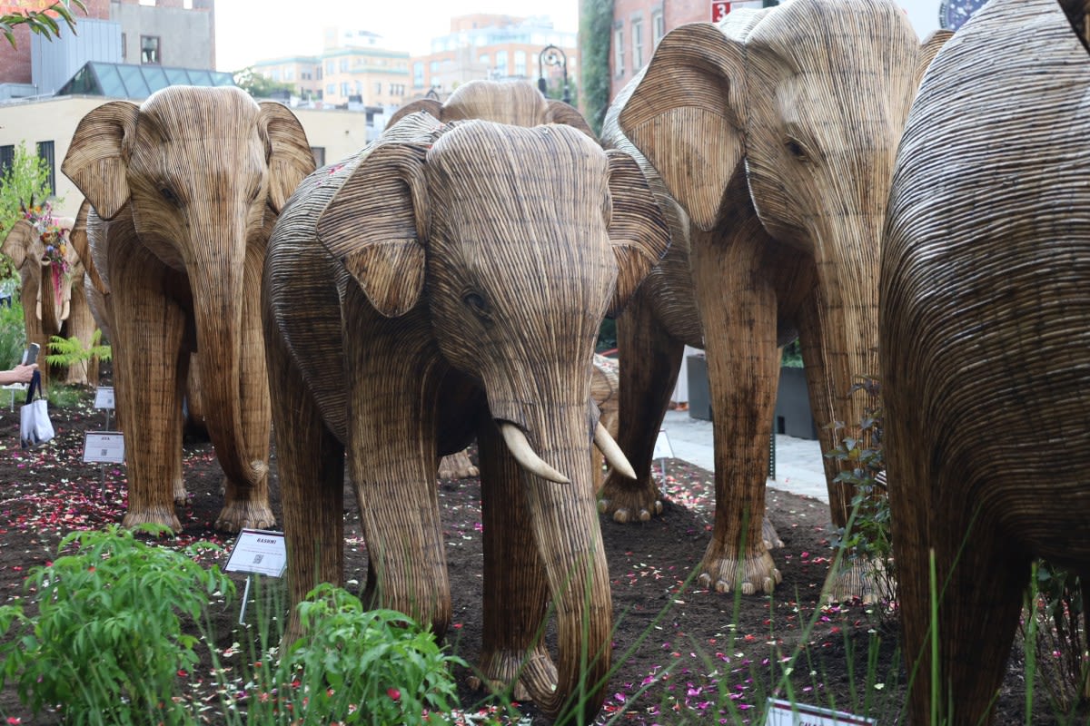 A pack of 100 elephants land in Manhattan’s Meatpacking District ‘from India with love’ | amNewYork