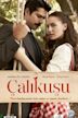 Çalıkuşu (TV series)