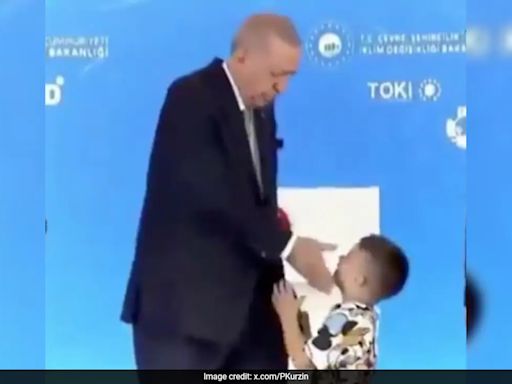 Did Turkey President 'Slap' Boy Who Didn't Kiss His Hand? Internet Debates