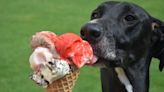 Reader's Digest celebrates OKC staple as 'best ice cream in Oklahoma'