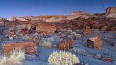 Why Petrified Forest National Park deserves to be a destination, not just a detour