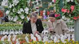 Araujo Farms in Dighton opens brand new greenhouses to showcase huge array of plants