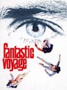 Fantastic Voyage