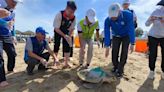 世界海龜日 澎湖野放13隻返大海