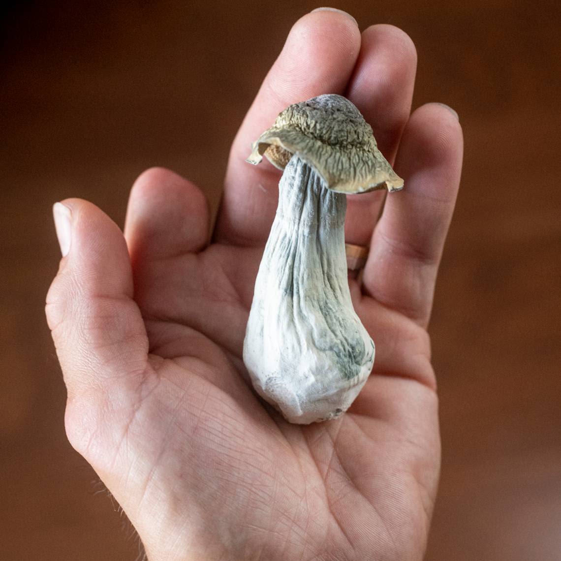 California GOP lawmaker flips on psychedelics, introduces bill to allow limited usage