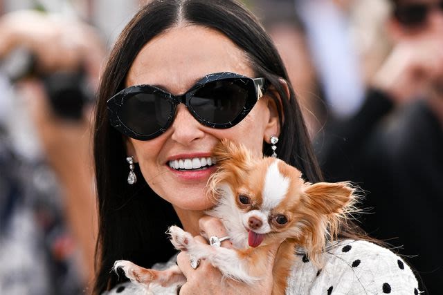 Pilaf, Demi Moore's tiny Chihuahua, was 'moved' by Tom Holland's performance in “Romeo & Juliet”