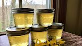 Wild forsythia petal jelly for your spring spread