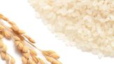 Taste of Guam: Rice key ingredient to Chamorro past