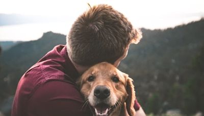 TÉMOIGNAGE. "La caméra de surveillance de mes chiens m'a fait découvrir que je n'étais pas le père de ma fille"