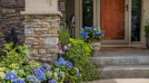14 Front Door Plants to Beautify the Entrance to Your Home