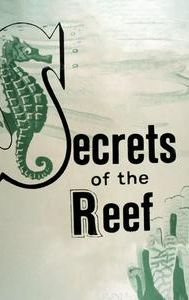 Secrets of the Reef
