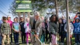 1st of 100 new trees in honor of lumber tycoon Fred Erb planted in Royal Oak