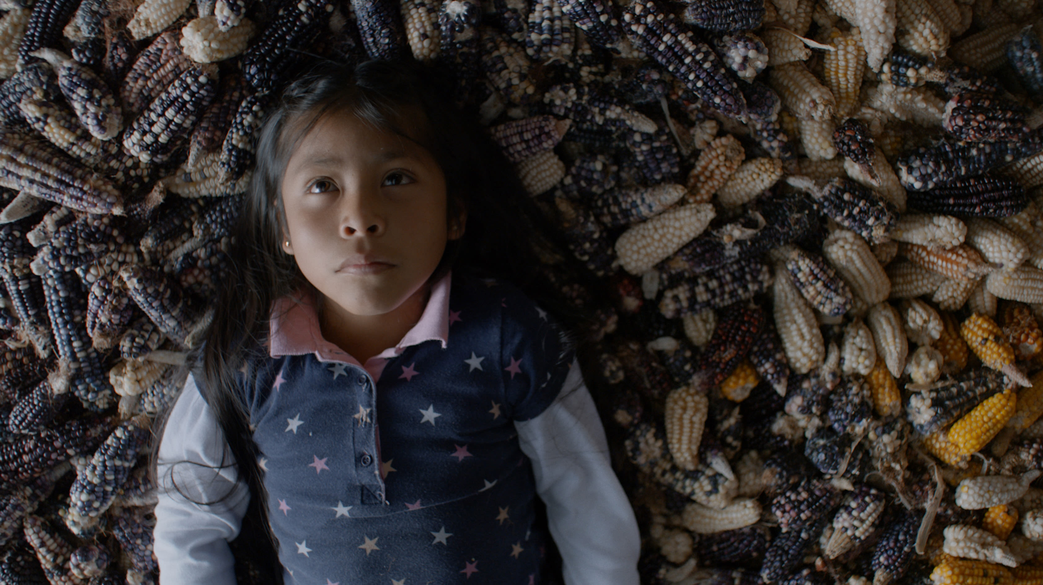 8 movies to watch at this year’s Los Angeles Latino International Film Festival