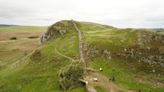 Can the Sycamore Gap tree be saved?