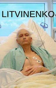 Litvinenko (TV series)