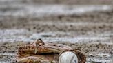 H.S. Baseball: District 2 postpones Monday's title games at PNC Field