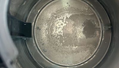 I cleaned my limescale-ridden kettle with 20p staple and it was sparkling