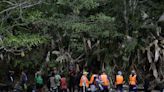 Las personas que atraviesan la selva del Darién cada vez son más vulnerables, advierte MSF