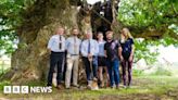 Lincolnshire: Planting 200,000 trees to create 'inspiring legacy'