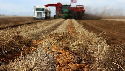 Bills to increase funding for higher education, protect potatoes signed into law