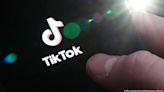哪些國家禁止使用抖音海外版TikTok？