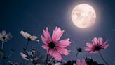 Full Moon June 2023 in Sagittarius offers the personal breakthrough you’ve been waiting for