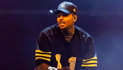 Chris Brown gets stuck midair at concert, has to be rescued with ladder