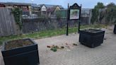 Anger and upset as vandals trash esplanade flower beds