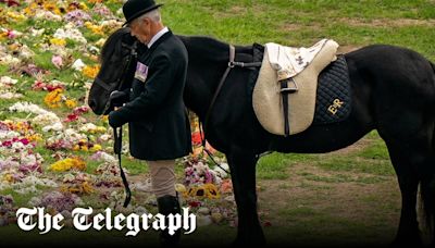 Late Queen’s dresser didn’t want pony to wear Her Majesty’s headscarf at funeral