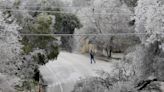 Ice storm: Wind chill to bring Northeast areas to 50F below zero as nine dead, 400,000 without power in Texas