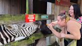 Duck, duck, geese, zebu and more: This Sebastian petting zoo is a true animal kingdom