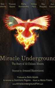 Miracle Underground - IMDb