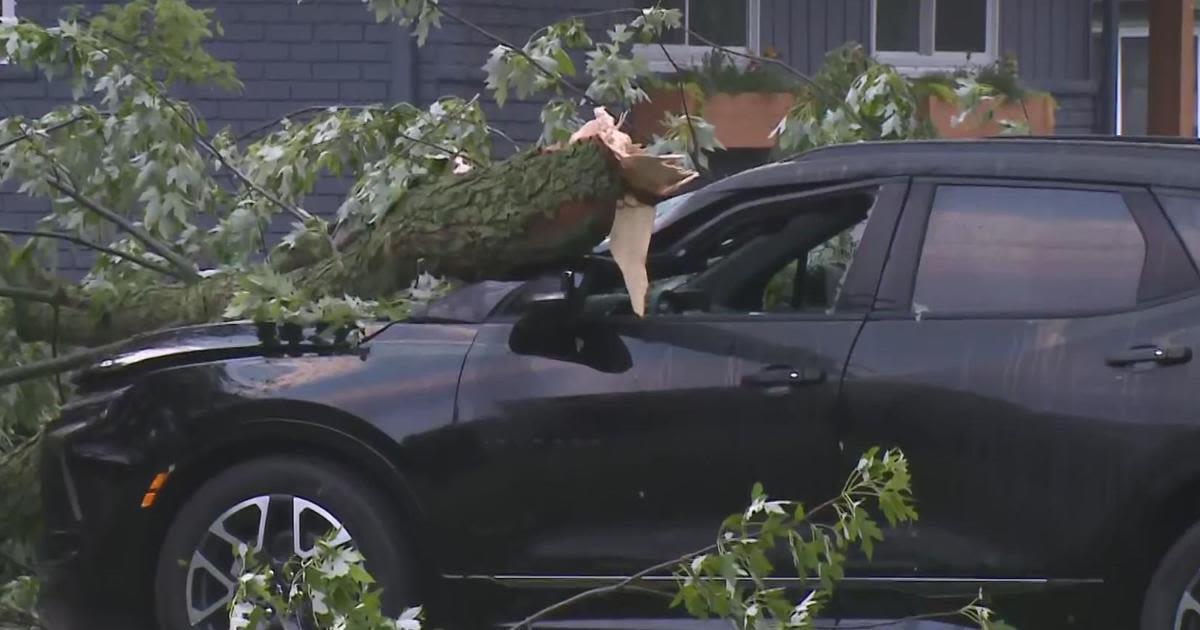 Thousands in Southeast Michigan without power after storms move through region