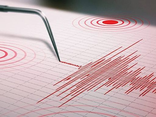 Fuerte sismo de 4,6 grados en Córdoba - Diario Hoy En la noticia