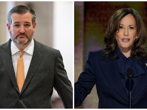 Ted Cruz acusa a Harris de trabajar con México para alentar a migrantes indocumentados a llegar a EE.UU. - El Diario NY