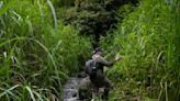 In Indonesia, women ranger teams go on patrol to slow deforestation