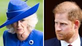 Harry's swipes at Camilla 'unforgivable' for King with Duke now 'on his own'