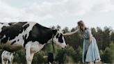 Udderly fascinating research reveals cows prefer hugs from women | FOX 28 Spokane