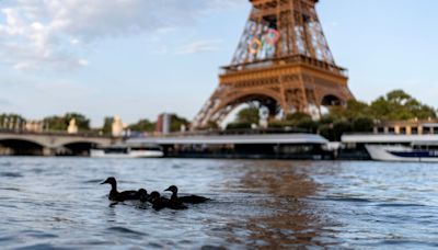 Paris Olympics 2024, Triathlon At Seine Begins: Athletes Prepare To Swim In River Amid Water Quality Concerns