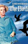 The Birds (film)