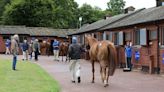 Large Catalog Assembled for Tattersalls July Sale