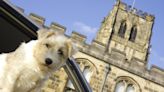 Half of cathedrals now allow dogs