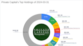 Private Capital's Strategic Moves in Q1 2024: Spotlight on KKR & Co Inc