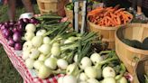 CSA offers benefits beyond fresh fruit, vegetables