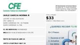 Rocío Nahle paga ¡33 pesos! de luz cada bimestre