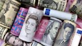 Euro, sterling bounce, dollar drops as investors cash in