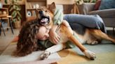 Want a happy and fulfilled dog? Trainer reveals the secret (and it really surprised us!)