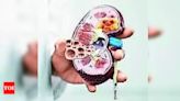 Obesity and Family History Linked to Renal Problems in Children and Adolescents in Telangana and Andhra Pradesh | Hyderabad News - Times of India