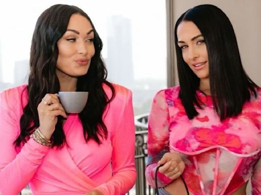 Nikki And Brie Bella Reveal How Working At Hooters Helped Them Prepare For WWE