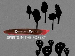 Spirits in the Forest